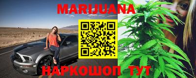 Альфа ПВП Новодвинск