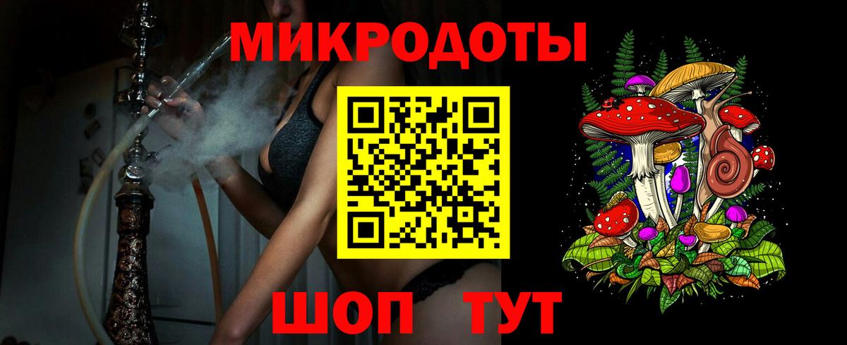 Галлюциногенные грибы Psilocybe Строитель